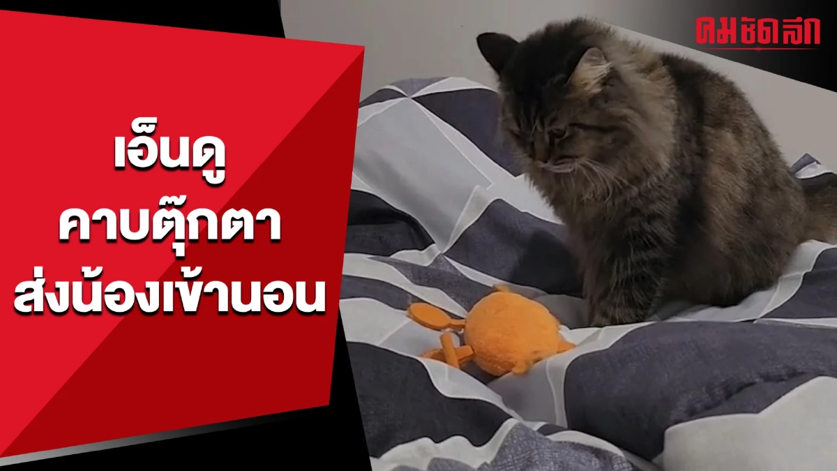 เอ็นดู คาบตุ๊กตาส่งน้องเข้านอน (มีคลิป) เอ็นดู คาบตุ๊กตาส่งน้องเข้านอน (มีคลิป)