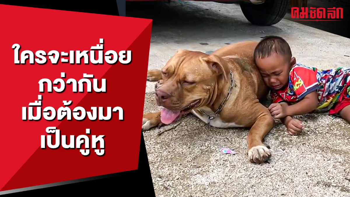(คลิป) ใครจะเหนื่อยกว่ากัน เมื่อต้องมาเป็นคู่หู