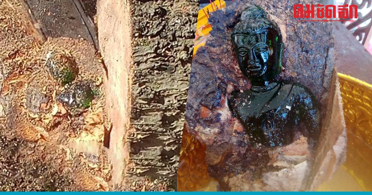 นักวิชาการดังชี้ พระแก้วในต้นมะม่วง ฝีมือมนุษย์