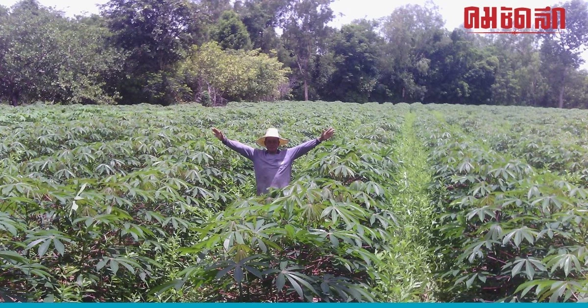 กรมวิชาการเกษตร หนุน 'พืชไร่' สู่เกษตรอินทรีย์ สร้างความยั่งยืน