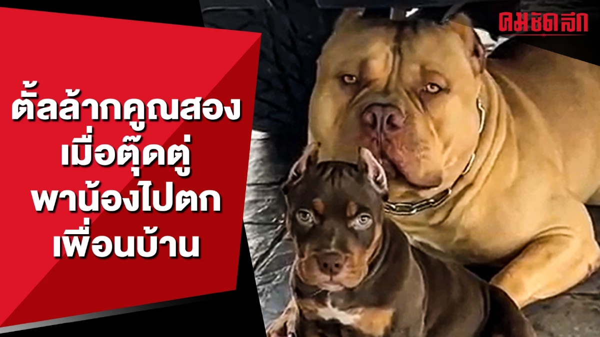 (คลิป) ตั้ลล้ากคูณสอง เมื่อตุ๊ดตู่พาน้องไปตกเพื่อนบ้าน (คลิป) ตั้ลล้ากคูณสอง เมื่อตุ๊ดตู่พาน้องไปตกเพื่อนบ้าน