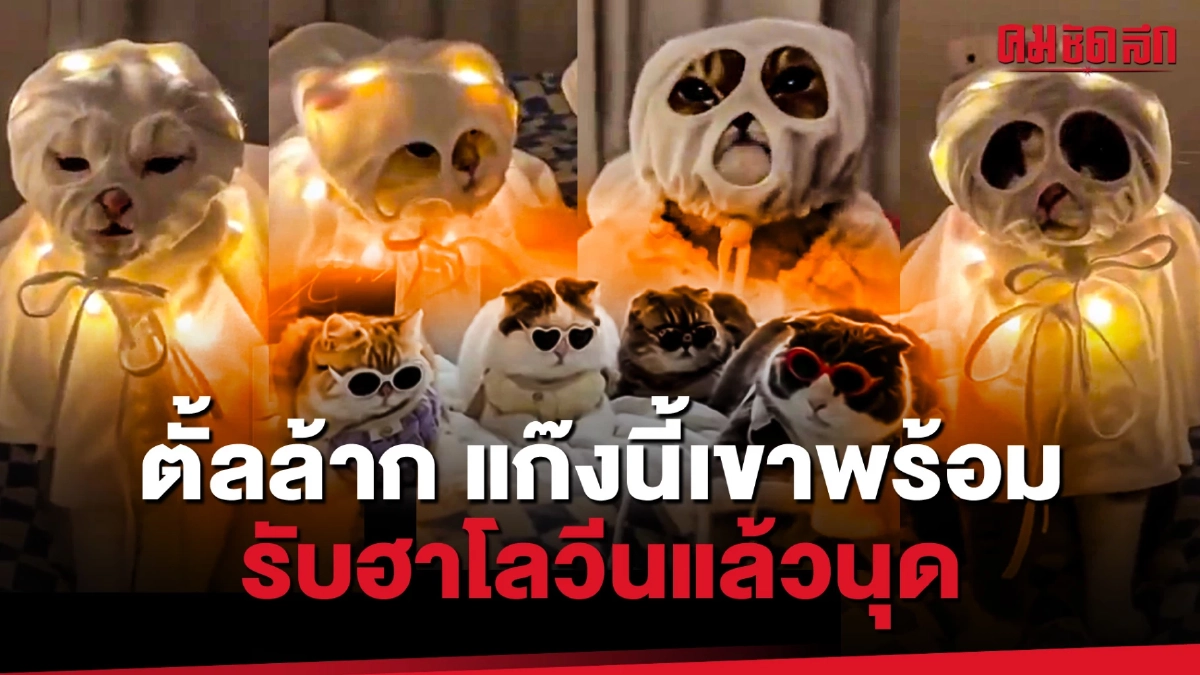 (คลิป) ตั้ลล้าก แก๊งนี้เขาพร้อมรับฮาโลวีนแล้วนุด (คลิป) ตั้ลล้าก แก๊งนี้เขาพร้อมรับฮาโลวีนแล้วนุด