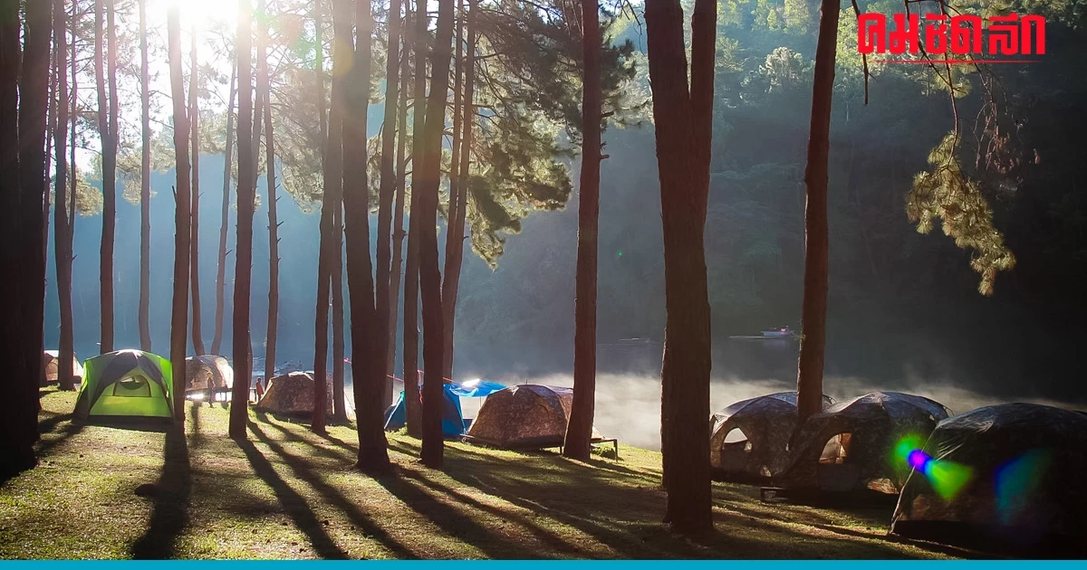 หนาวนี้ปักหมุดกางเต็นท์ที่ 'ปางอุ๋ง' สัมผัสบรรยากาศสุดฟินท่ามกลางไอหมอก