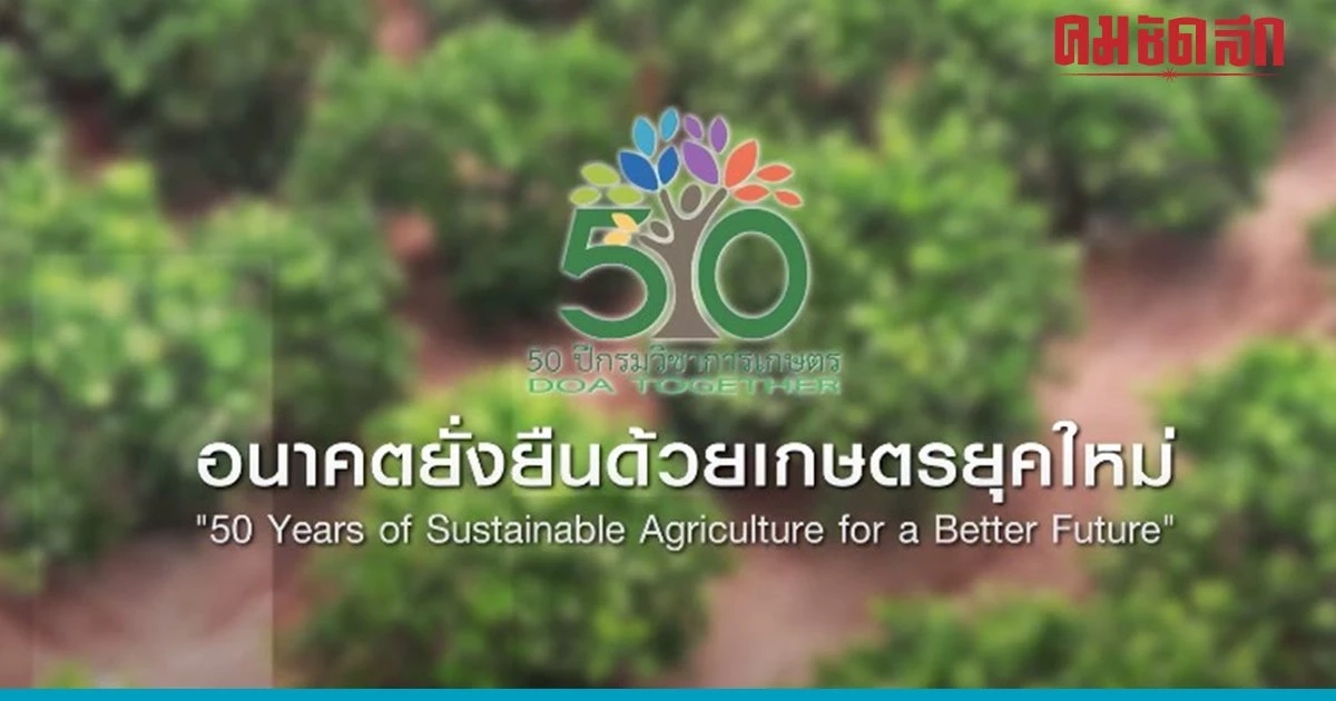 ลิ้นจี่ พันธุ์นครพนม 1 สร้างอาชีพเสริมรายได้ให้แก่เกษตรกร