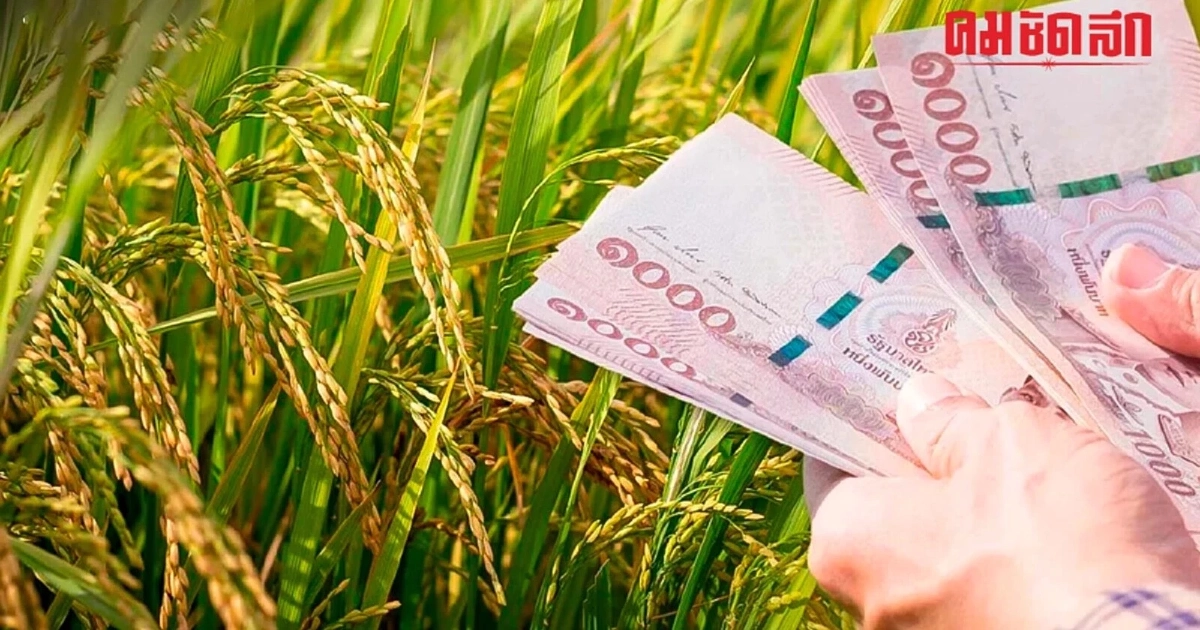 'เงินเยียวยาชาวนาล่าสุด' เงินเยียวยาไร่ละ 1,000' นบข. เคาะแล้ว สูงสุด 20,000