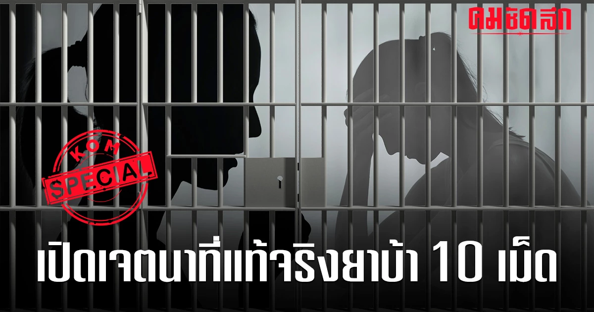 'ยาเสพติด' 10 เม็ดเท่ากับผู้เสพ กฎหมายใหม่ที่ไม่อยากผลักคนติดยาเข้าคุก ...