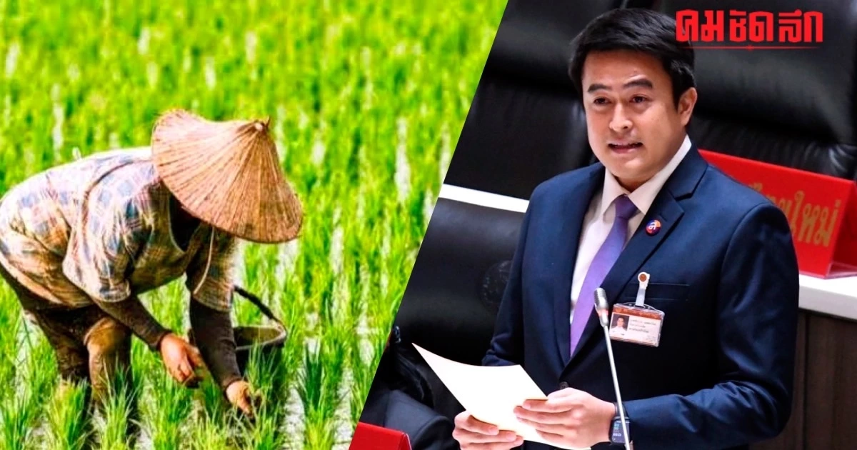 ‘ไทยสร้างไทย’ เสนอรัฐบาล เพิ่มวงเงิน ‘ชะลอการขายข้าว’ เป็น 30,000 ล้านบาท ‘ไทยสร้างไทย’ เสนอรัฐบาล เพิ่มวงเงิน ‘ชะลอการขายข้าว’ เป็น 30,000 ล้านบาท
