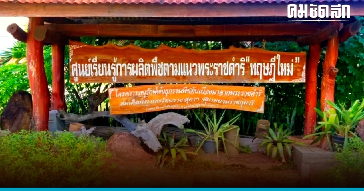 โครงการพระราชดำริ อีกความสำเร็จในการแก้ปัญหา สร้างรายได้เพิ่มให้เกษตรกร โครงการพระราชดำริ อีกความสำเร็จในการแก้ปัญหา สร้างรายได้เพิ่มให้เกษตรกร
