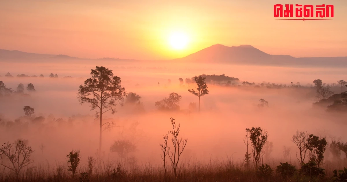 'สภาพอากาศวันนี้' ไทยตอนบนมีหมอกตอนเช้า ฝนเล็กน้อย อุณภูมิต่ำสุด 24 องศา