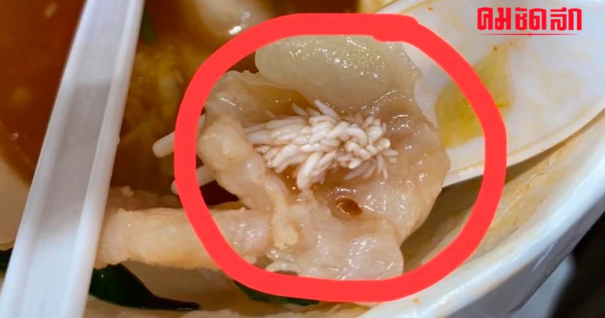 อ้วกพุ่ง กิน 'ปลา' ดอลลี่ เจอสิ่งนี้ สยองหนักรีบถามชาวเน็ต ได้คำตอบแบบนี้