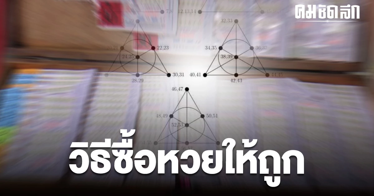 Mathematicians reveal how to buy "lottery tickets" for a chance to win