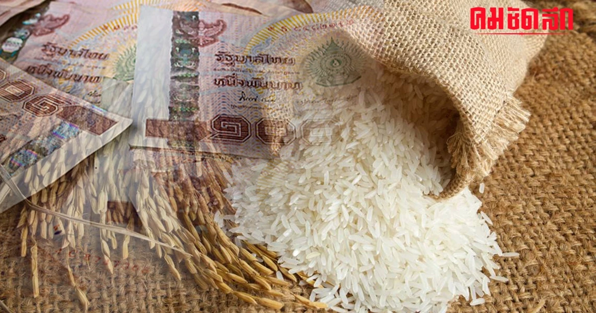 'เงินไร่ละ 1,000 รอบ 2' ธ.ก.ส. กำหนดวันโอนเข้า อีก 6,105 ล้านบาท