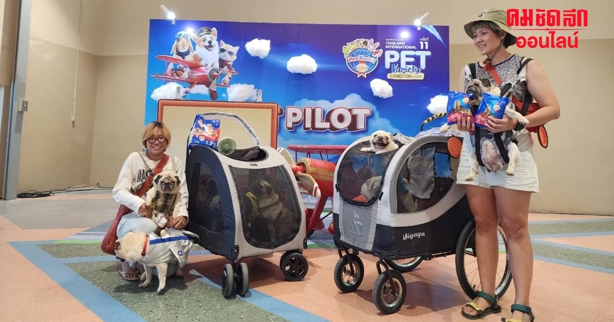 อิมแพ็ค เอาใจคนรักสัตว์ ลัดฟ้าจัดงานสัตว์เลี้ยงสุดยิ่งใหญ่