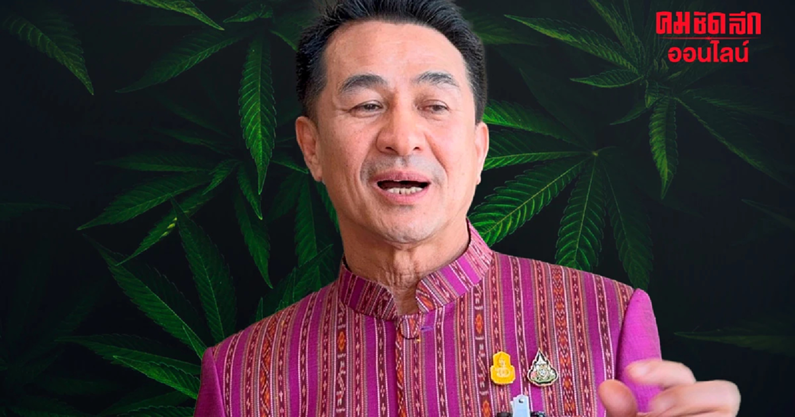 “หมอชลน่าน” จ่อชง กฏหมายเข้มกัญชา เข้าครม.ย้ำ “ต้น ราก ใบ ดอก” เป็นสารเสพติด