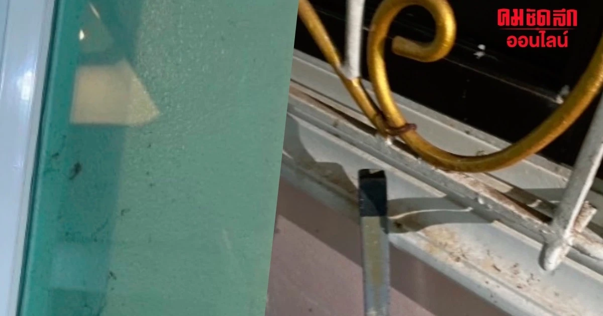 ช็อก จ้างทำความสะอาด 'บ้าน' หลักหมื่น ผลที่ได้แทบไม่อยากเชื่อสายตา