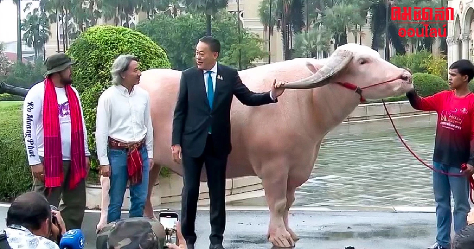 ‘โก้ เมืองเพชร’ ควายเผือกใหญ่ที่สุดในโลก พบ นายกฯ