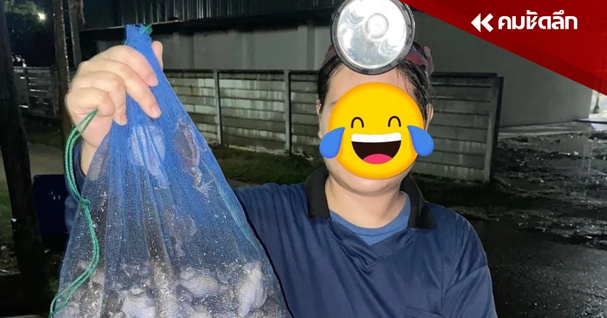 เรียน มมส ได้อะไร นิสิตโชว์ผลงานหลังฝนตก ไต้อึ่ง เต็มถุง ชาวเน็ตแห่ขอซื้อต้ม เรียน มมส ได้อะไร นิสิตโชว์ผลงานหลังฝนตก ไต้อึ่ง เต็มถุง ชาวเน็ตแห่ขอซื้อต้ม