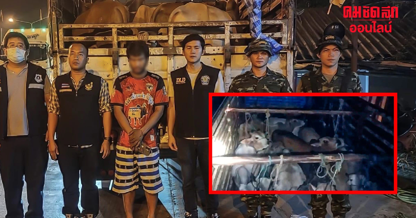 ปศุสัตว์ลุยเข้มจับ ”วัวเถื่อนแม่สอด“ ล๊อตใหญ่ สานนโยบายปราบสินค้าเถื่อน