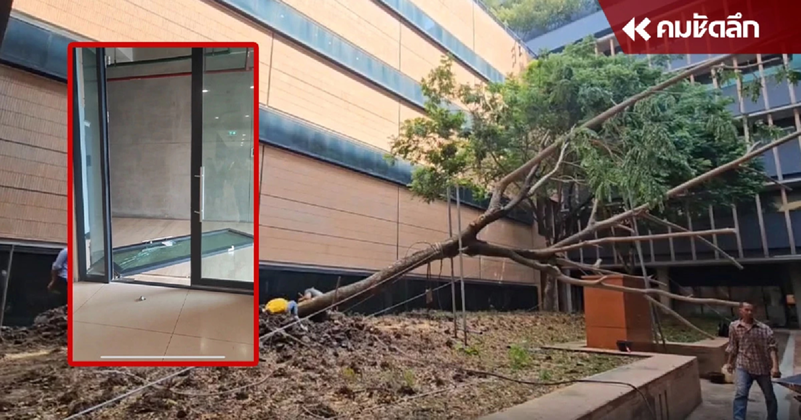 สภาฯ เร่งปรับพื้นที่ ต้นไม้ล้ม - ประตูกระจกแตก