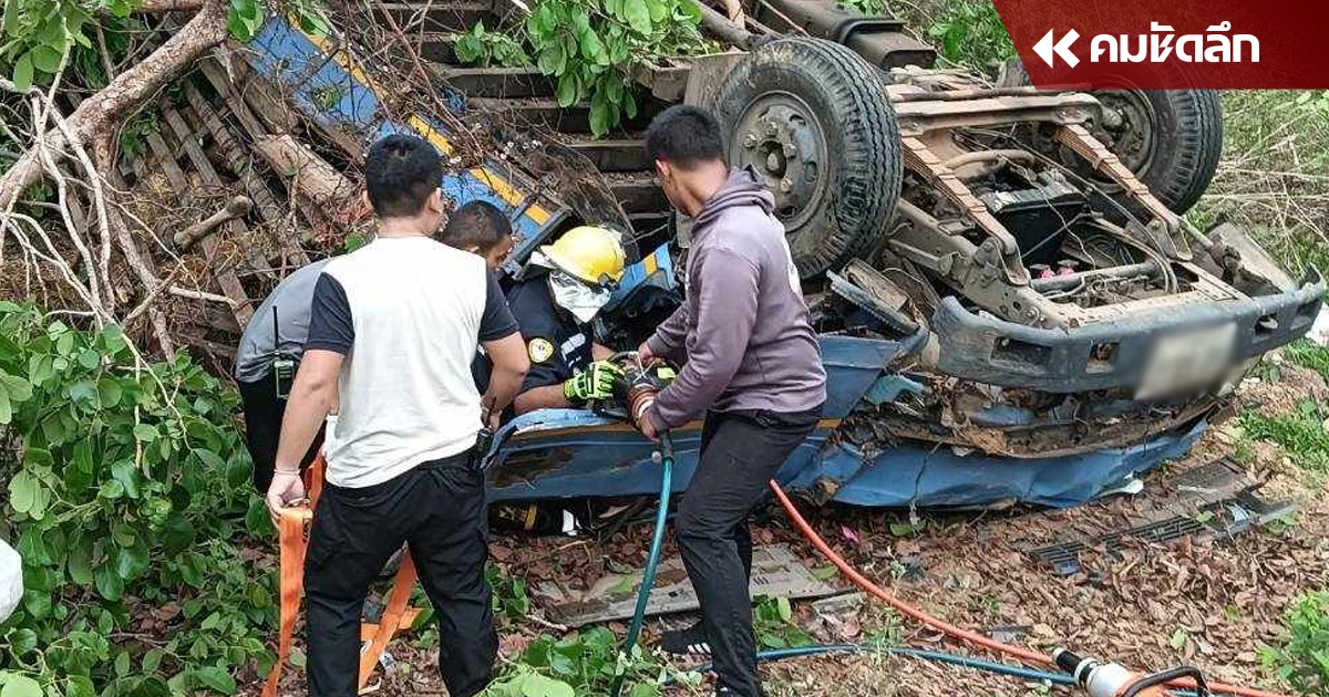 กลับไม่ถึงบ้าน 'อุบัติเหตุ' สลด 'รถบรรทุกวัวพลิกคว่ำ' คนดับ4 วัว7 กลับไม่ถึงบ้าน 'อุบัติเหตุ' สลด 'รถบรรทุกวัวพลิกคว่ำ' คนดับ4 วัว7