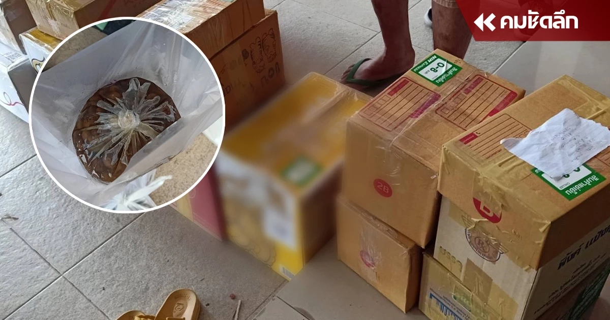 ขนส่งแตก ชาวบ้านแห่ส่ง เห็ดเผาะ – แมงมัน อาหารยอดฮิตให้ลูกหลานต่างจังหวัด