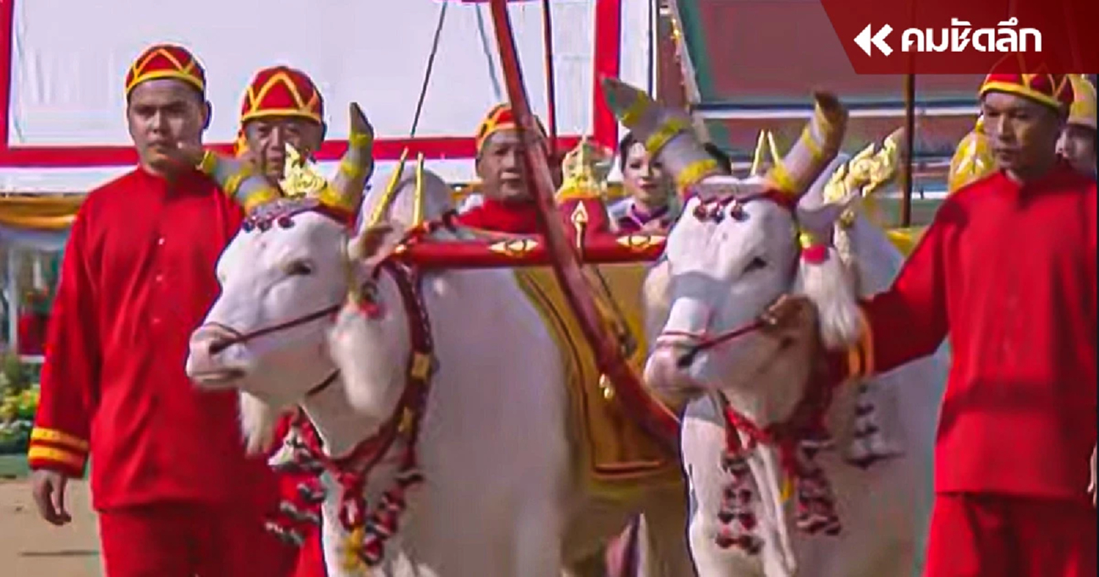 .วันพืชมงคล 2567 พระยาแรกนา หยิบผ้า 5 คืบ พระโคเสี่ยงทาย กิน 3 สิ่ง.