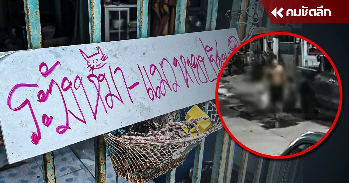 หมู่บ้านแมวหาย เปิดวงจรปิด เจอแรงงานพม่า จับ 'เปอร์เซีย' ยัดถุงปุ๋ยไปกิน