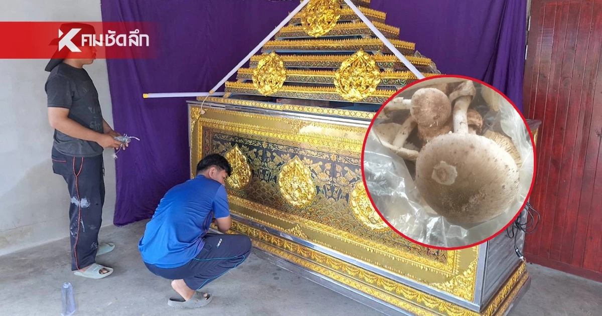 ดับเพิ่มอีก 1 กินแกงเห็ดพิษ หลังสามีสิ้นใจไปก่อนหน้านี้ ส่วนพ่อยังสาหัส ดับเพิ่มอีก 1 กินแกงเห็ดพิษ หลังสามีสิ้นใจไปก่อนหน้านี้ ส่วนพ่อยังสาหัส
