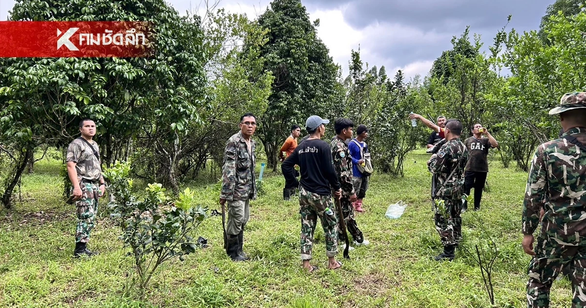 หมีลงจากเขาใหญ่ ตะปบชาวบ้านหน้าเหวอะ กรามหัก หมีลงจากเขาใหญ่ ตะปบชาวบ้านหน้าเหวอะ กรามหัก