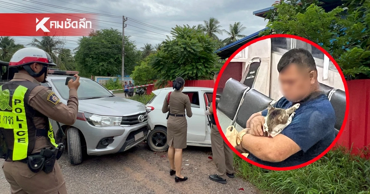 หนุ่มทาสยาแหกด่าน หนีข้ามคลอง สุดท้ายจนมุมเพราะเป็นทาสแมว หนุ่มทาสยาแหกด่าน หนีข้ามคลอง สุดท้ายจนมุมเพราะเป็นทาสแมว