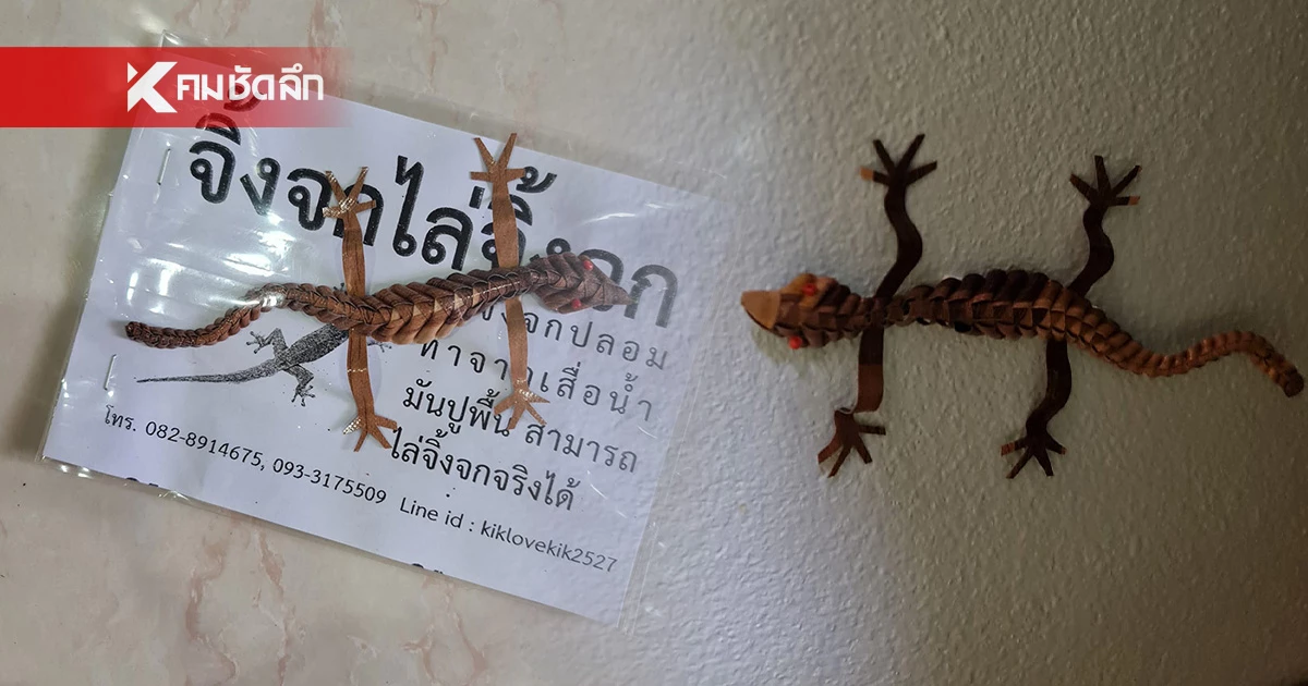 มีเท่าไรขายหมด "จิ้งจกไล่จิ้งจก" สาวซื้อรีวิว หลัง แม่ค้าเผยสรรพคุณชวนอึ้ง มีเท่าไรขายหมด "จิ้งจกไล่จิ้งจก" สาวซื้อรีวิว หลัง แม่ค้าเผยสรรพคุณชวนอึ้ง