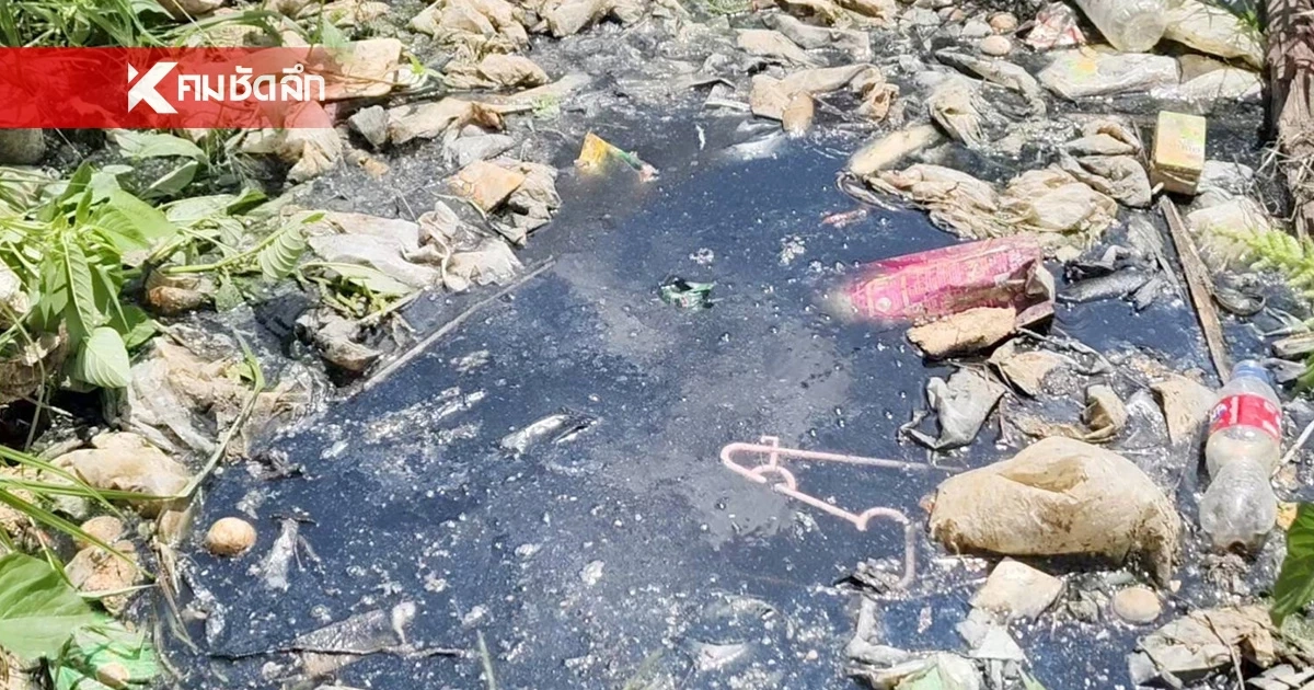 สลด 2 ขวบเล่นซนตกบ่อน้ำคลำดับ ขณะที่ยายเผลอหลับ