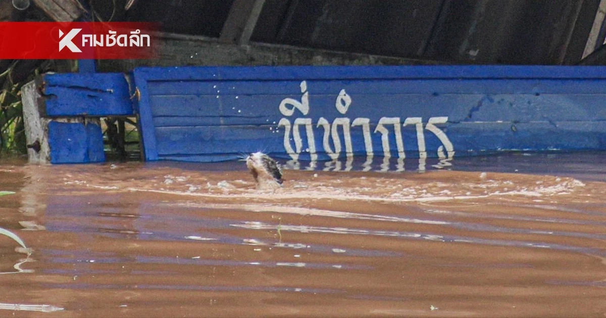 สทนช. ประเมินน้ำท่วม เทียบ 3 ปี เชื่อไม่รุนแรงเท่าปี 54 คาด พายุจร ก.ย. - ต.ค. สทนช. ประเมินน้ำท่วม เทียบ 3 ปี เชื่อไม่รุนแรงเท่าปี 54 คาด พายุจร ก.ย. - ต.ค.