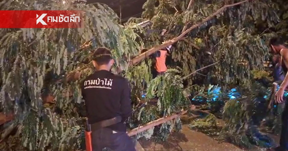 เตือนยกของ! ลำปาง ประกาศ เฝ้าระวังน้ำล้น "ซูลิก" แผลงฤทธิ์กลางดึกโค่นไม้หัก เตือนยกของ! ลำปาง ประกาศ เฝ้าระวังน้ำล้น "ซูลิก" แผลงฤทธิ์กลางดึกโค่นไม้หัก