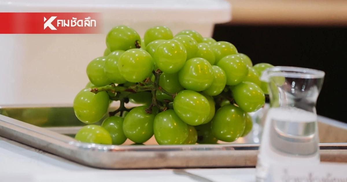 สภาผู้บริโภค จี้! อย. เอาผิด บ. นำเข้า "องุ่นไชน์มัสแคท" หลังพบสารเคมีตกค้าง
