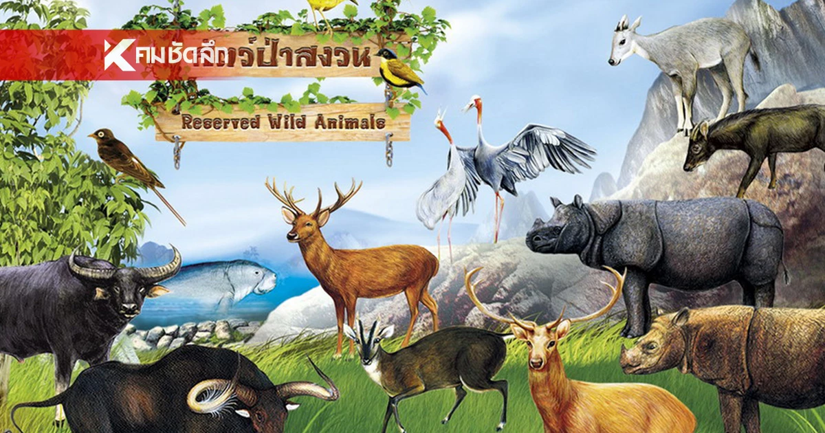 เปิดให้ประชาชนแจ้งการครอบครอง สัตว์ป่าสงวน - สัตว์ป่าคุ้มครอง เพิ่ม 3 ชนิด เปิดให้ประชาชนแจ้งการครอบครอง สัตว์ป่าสงวน - สัตว์ป่าคุ้มครอง เพิ่ม 3 ชนิด