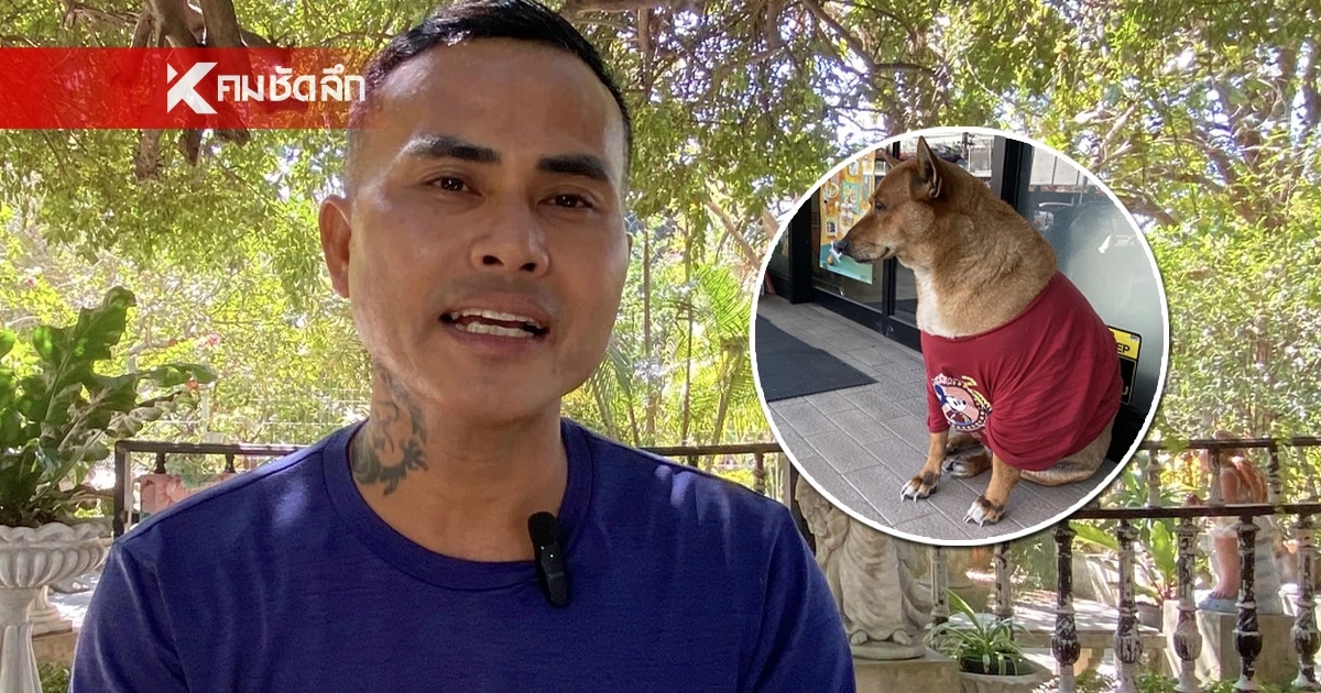 หนุ่มเปิดใจหลังดราม่า "น้องหมูแดง" ฮาจิโกะแห่งโคราช เจอเบรกไม่อนุญาต