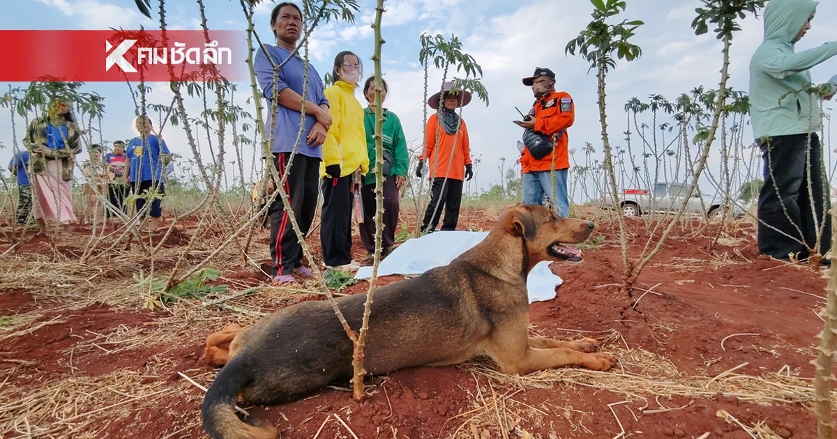 สุดเวทนา "เจ้าดุ๊กดิ๊ก" สุนัขขาเปลี้ย เฝ้าร่างคุณตา วัย 88 ปี หลงป่าเสียชีวิต