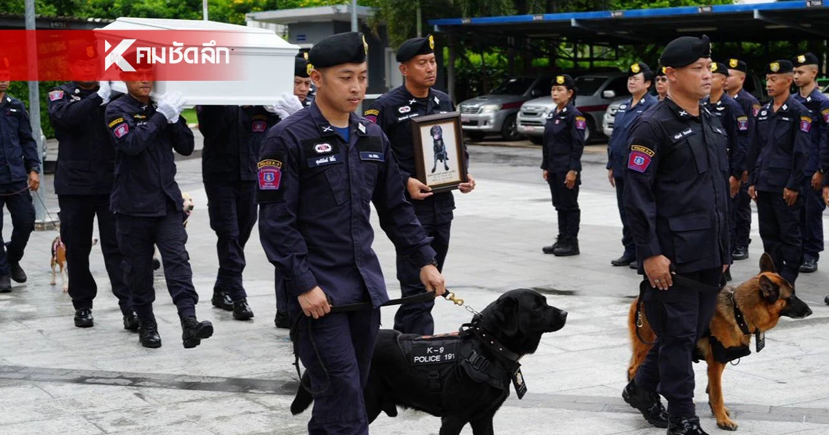 บก.สปพ. จัดพิธีไว้อาลัย สุนัขตำรวจตรี "สายฟ้า" ปฏิบัติหน้าที่อย่างกล้าหาญ