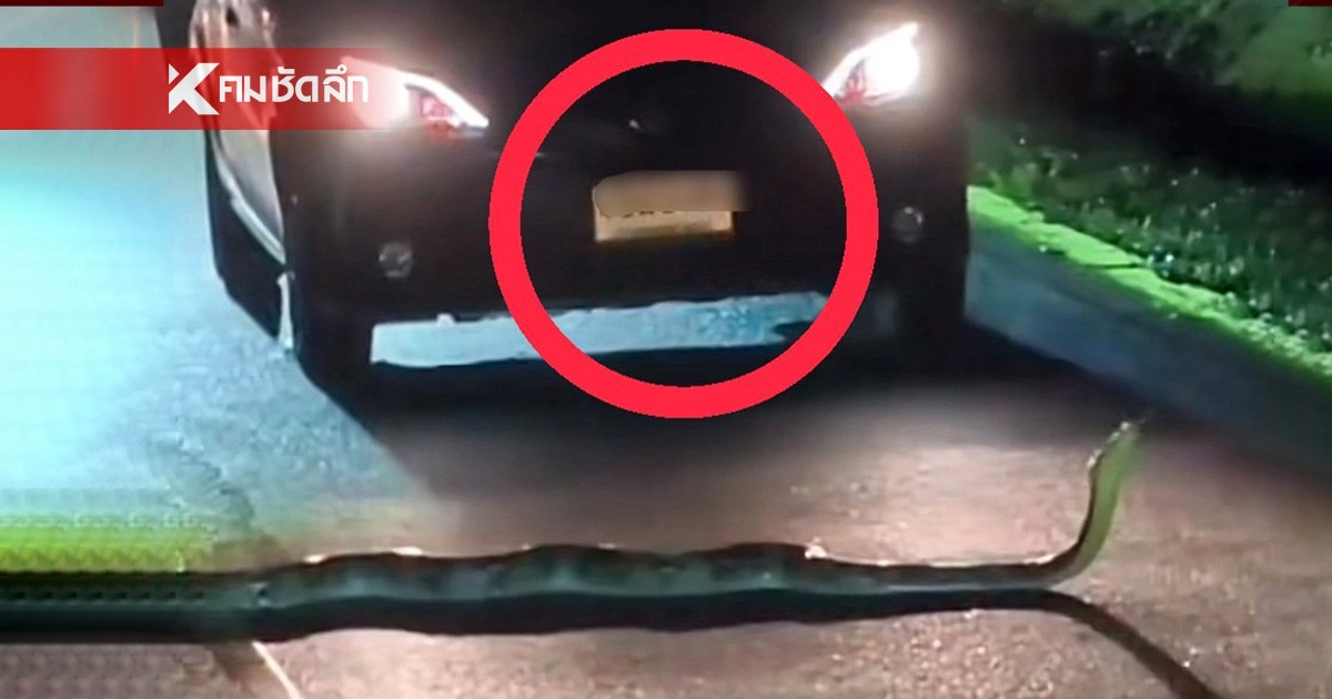 .จดด่วน! 