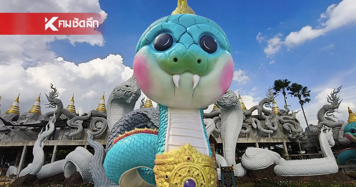 พาไปมู “พญาน้อล” สุดคิวต์! ขวัญใจสายบุญ วัดดอนใหญ่ ปทุมธานี พาไปมู “พญาน้อล” สุดคิวต์! ขวัญใจสายบุญ วัดดอนใหญ่ ปทุมธานี