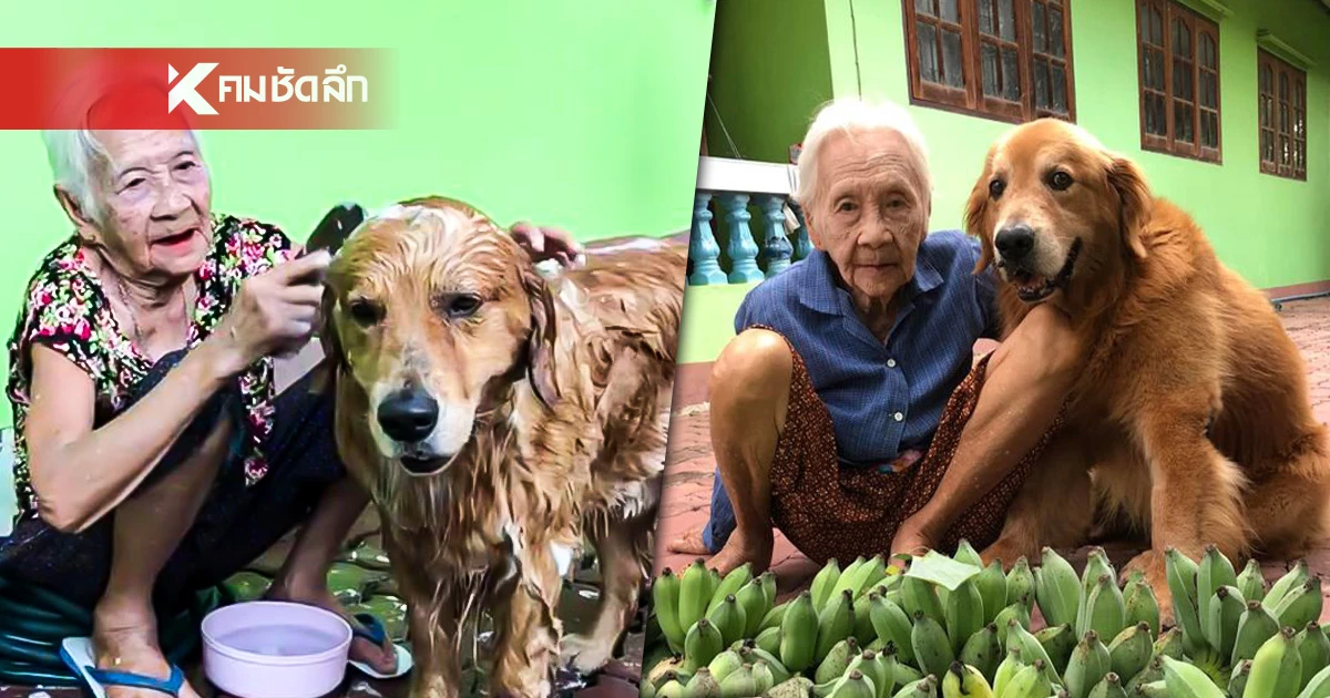 สุดเศร้า! อาลัย "คุณยาย" แห่งเพจลีโอไอ้หนูของยาย จากไปกะทันหัน