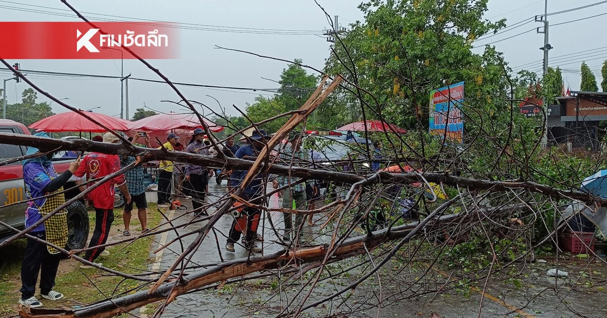 ฝนถล่ม เพชรบุรี ต้นไม้หักโค่น ทับชาวบ้านกลางตลาดนัด สาหัส 3 ราย ฝนถล่ม เพชรบุรี ต้นไม้หักโค่น ทับชาวบ้านกลางตลาดนัด สาหัส 3 ราย