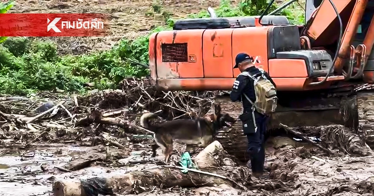 K9 USAR ร่วมภารกิจ ค้นหาผู้สูญหาย เหตุน้ำท่วม ดินโคลนถล่ม จ.เชียงใหม่