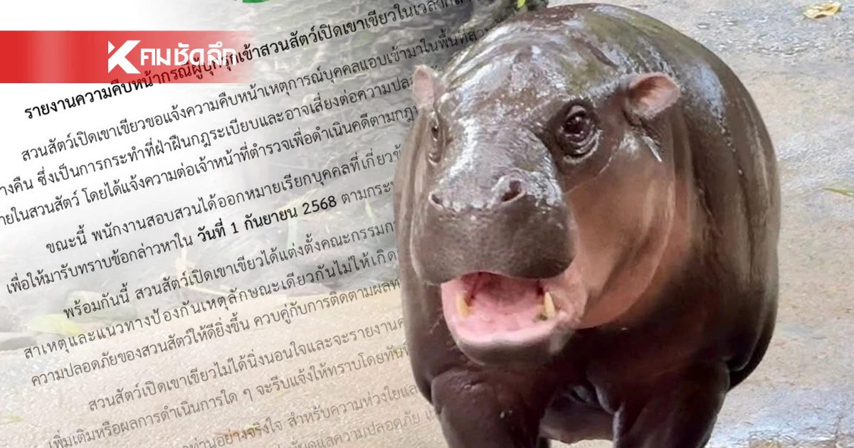 ตร.ออกหมายเรียก นทท. รับข้อกล่าวหา ปม! บุกรุกสวนสัตว์เขาเขียวยามวิกาล