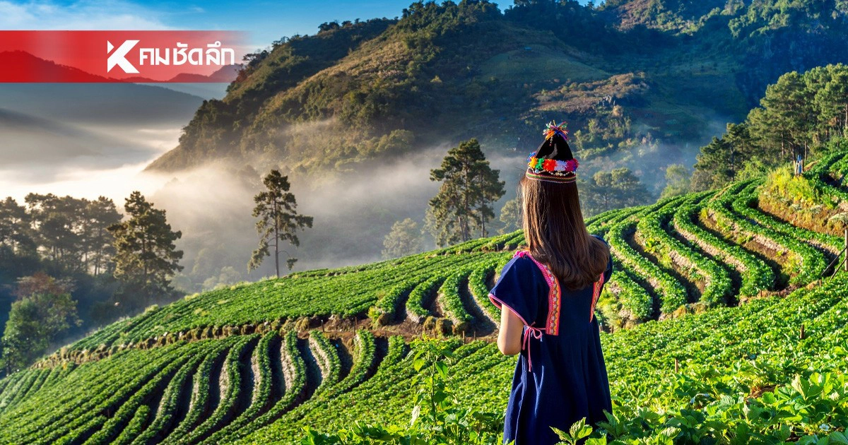 .“เชียงราย” ขึ้นแท่นอันดับ 2 ของโลก เมืองที่ปลอดภัยที่สุดสำหรับ “ดิจิทัลโนแมดหญิง”.