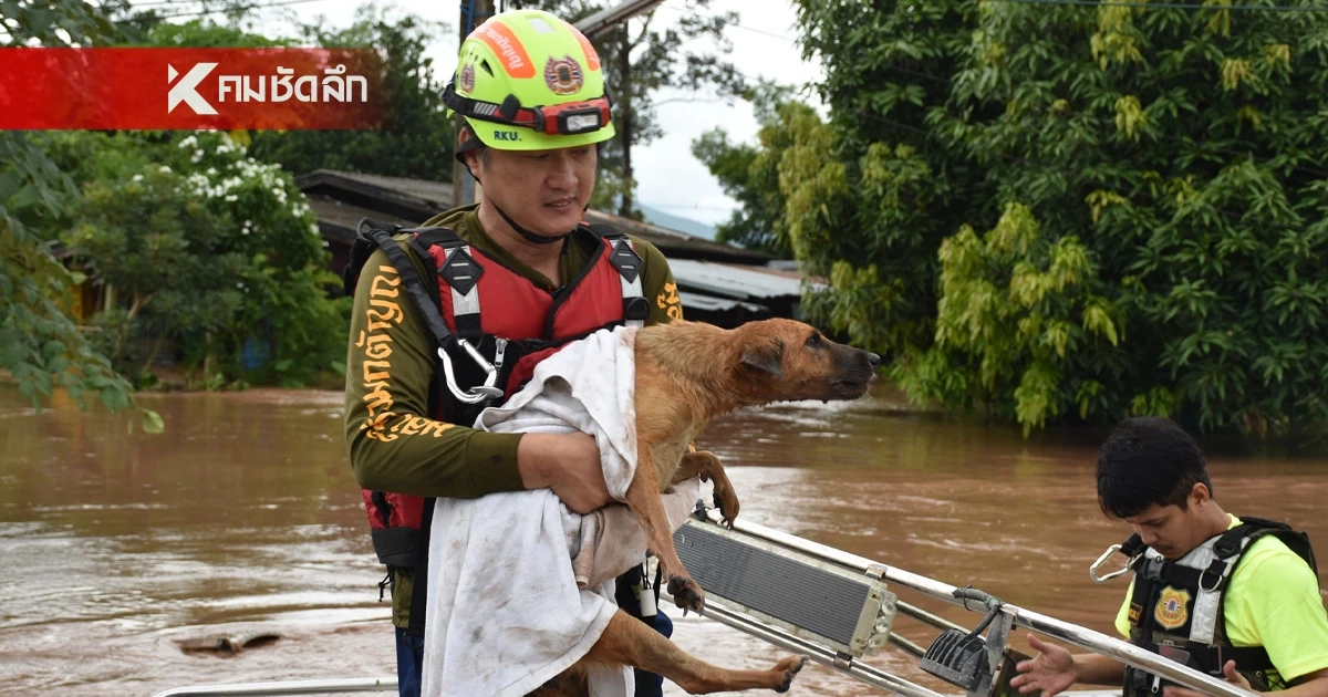 ทุกชีวิตต้องรอด! กู้ภัยฯ ช่วยสุนัข ถูกน้ำป่าซัด ลอยไปติดต้นไม้