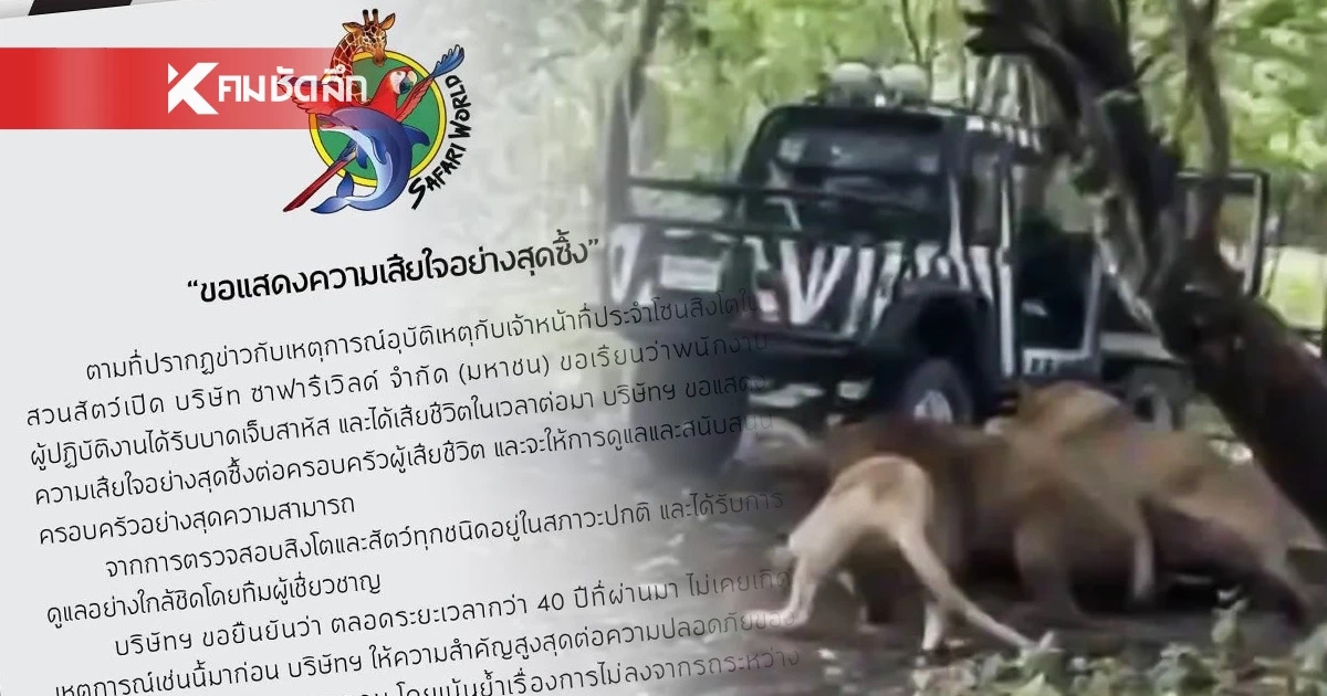 ซาฟารีเวิลด์ เสียใจ เปิดผลตรวจสอบสิงโต ยัน 40 ปี ไม่เคยเกิดเหตุเช่นนี้ ซาฟารีเวิลด์ เสียใจ เปิดผลตรวจสอบสิงโต ยัน 40 ปี ไม่เคยเกิดเหตุเช่นนี้