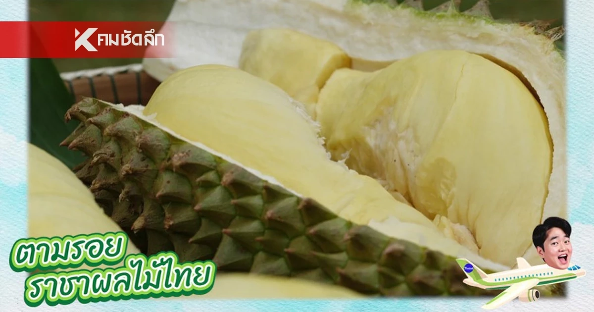 รหัสลับทุเรียนไทย" GI" หัวใจ สร้างแบรนด์สู่ตลาดโลก รหัสลับทุเรียนไทย" GI" หัวใจ สร้างแบรนด์สู่ตลาดโลก