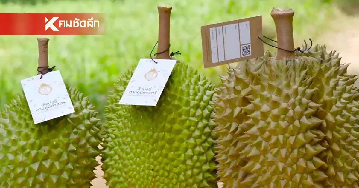 “ทุเรียน”ราชาแห่งผลไม้ไทย กับรหัสลับ GI ที่โลกต้องรู้จัก “ทุเรียน”ราชาแห่งผลไม้ไทย กับรหัสลับ GI ที่โลกต้องรู้จัก